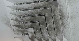 Mold