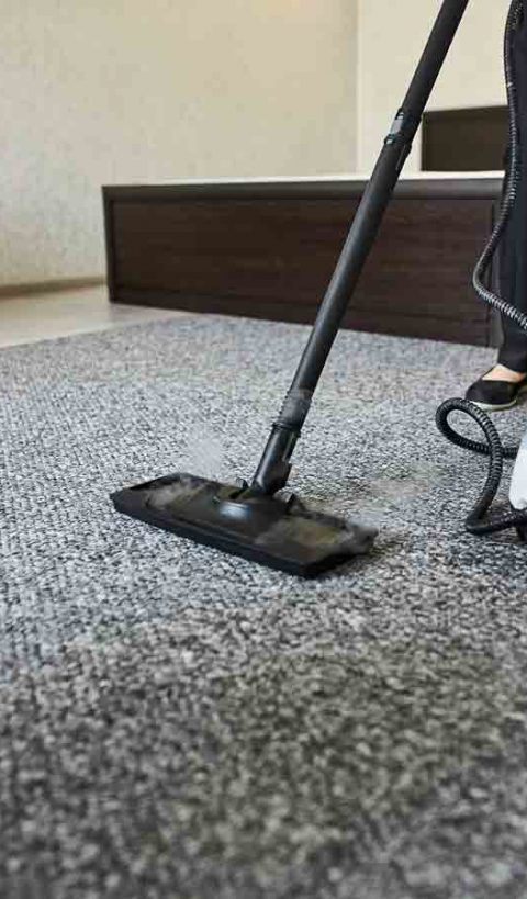 Carpet Cleaning Carpet Cleaning